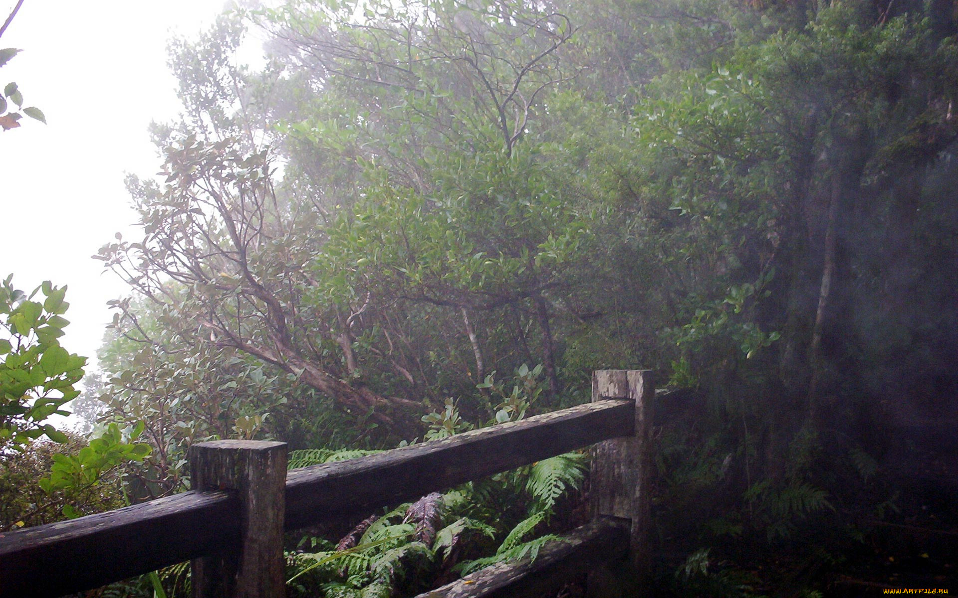 new, zealand, mount, taranaki, 